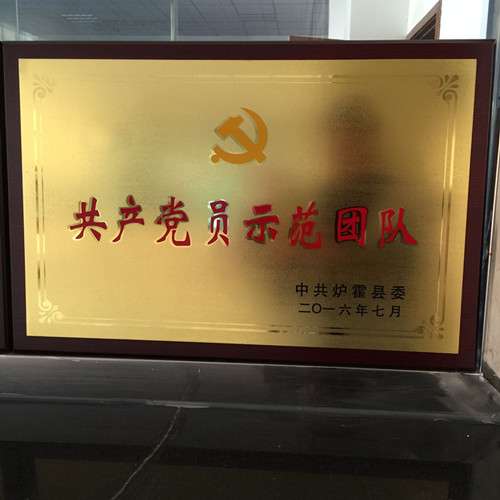 我院荣获“共产党员示范团队”称号