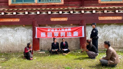 【我为群众办实事】分家析产起纠纷 巡回法庭解纷争