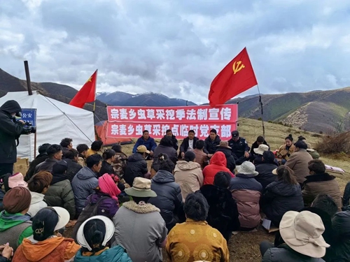 深入虫草采挖点 排查宣讲促和谐